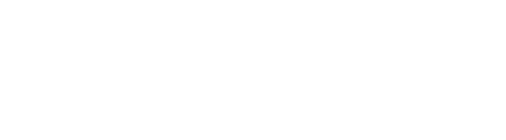MegaDome logo light