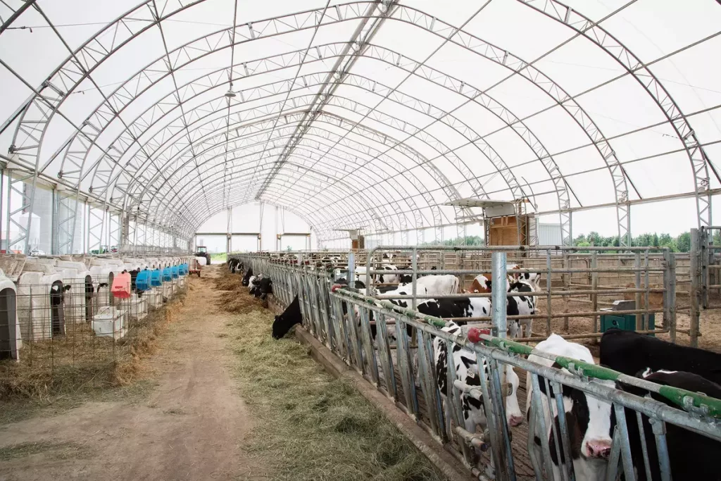 Secteurs 11 Fabric Livestock Buildings