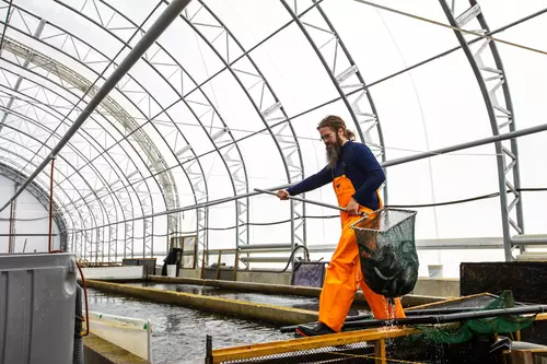 Applications of MegaDome in Pisciculture