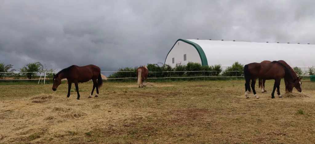 6 Key Steps to Create an Equestrian Riding Arena 2 Equestrian Riding Arena