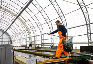 fishery construction