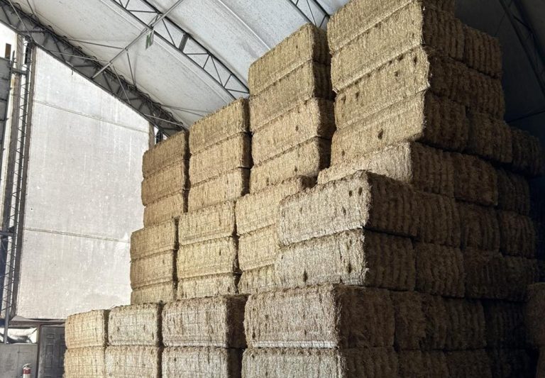 Permanent Fabric Hay Storage Building 10 recentangle hay bale storage