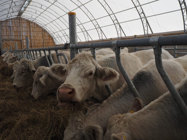 fabric building - livestock - agricultural membrane